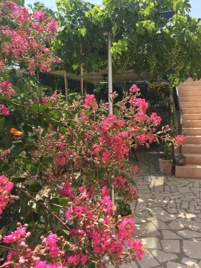 Apartmani Anica Risika Εξωτερικό φωτογραφία