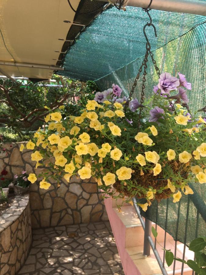 Apartmani Anica Risika Εξωτερικό φωτογραφία