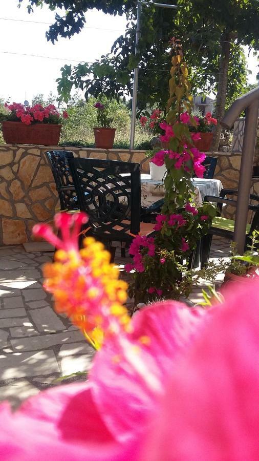 Apartmani Anica Risika Εξωτερικό φωτογραφία