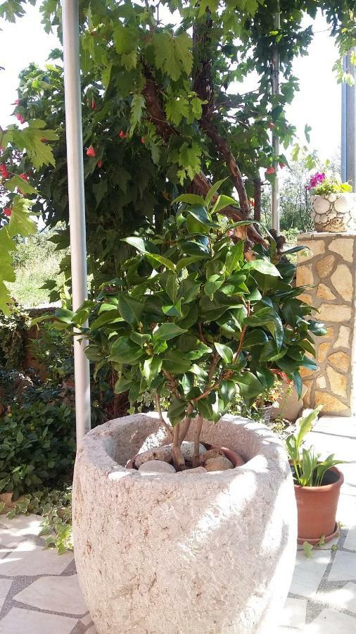 Apartmani Anica Risika Εξωτερικό φωτογραφία